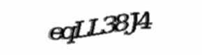 Security check image, please type the characters shown